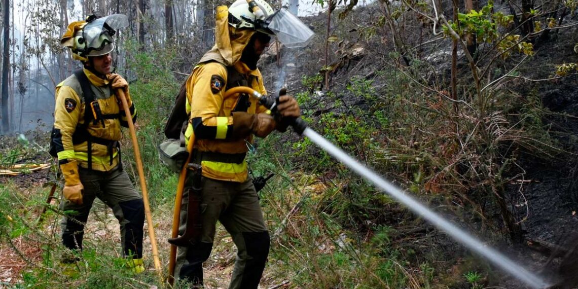 Un incendio originado en Portugal cruza la frontera a Ourense y afecta al concello de A Mezquita