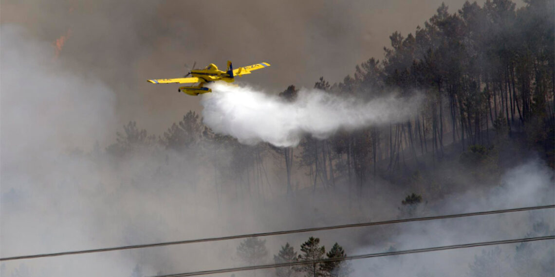 Suben a 45 las héctareas calcinadas en A Mezquita por el incendio que cruzó desde Portugal