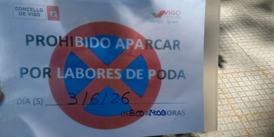 Alertan de la "destrucción de nidos" en Vigo por la poda de árboles y exigen una ciudad más verde