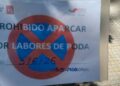 Alertan de la "destrucción de nidos" en Vigo por la poda de árboles y exigen una ciudad más verde