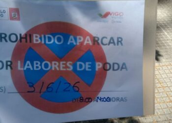 Alertan de la "destrucción de nidos" en Vigo por la poda de árboles y exigen una ciudad más verde
