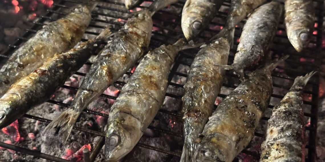 Vigo SeaFest, PortAmérica o Festas de Alcabre, todos los planes este fin de semana en Vigo y su área
