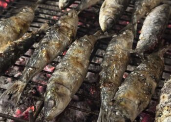 Vigo SeaFest, PortAmérica o Festas de Alcabre, todos los planes este fin de semana en Vigo y su área