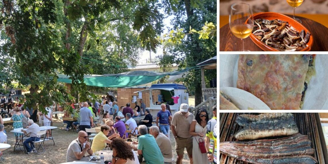 Arbo ya "cocina" una de las fiestas gastronómicas más emblemáticas de Galicia, la Festa da Lamprea Seca