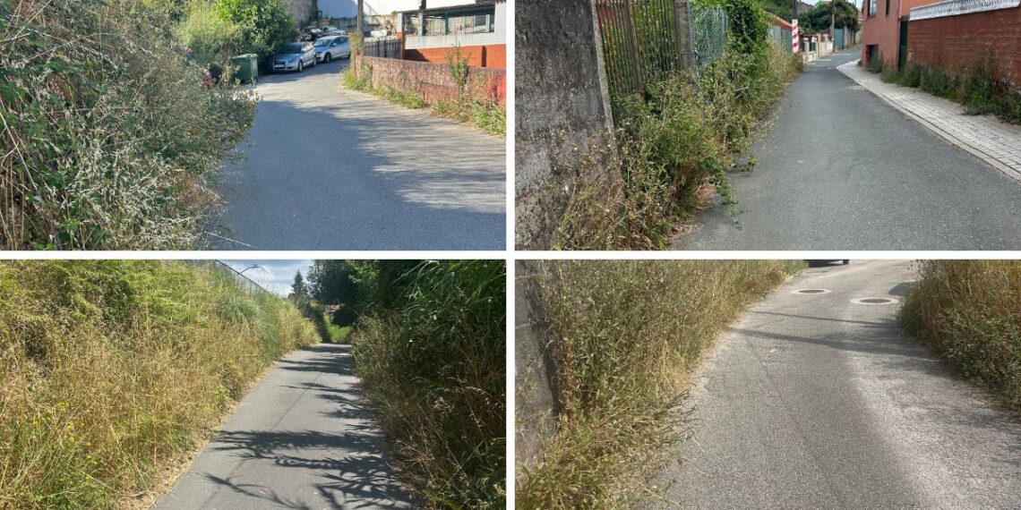 Vecinos de Teis señalan que la vegetación ocupa calles y caminos y piden al Concello que la rocen