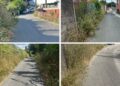 Vecinos de Teis señalan que la vegetación ocupa calles y caminos y piden al Concello que la rocen