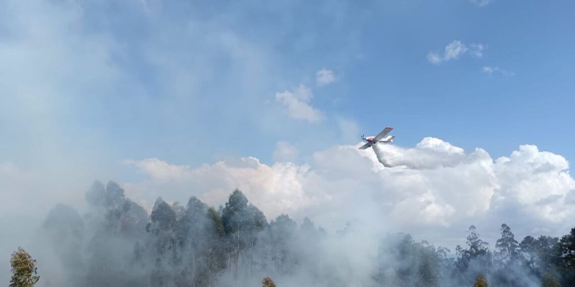 Alarma en O Porriño por un incendio forestal declarado en Pontellas