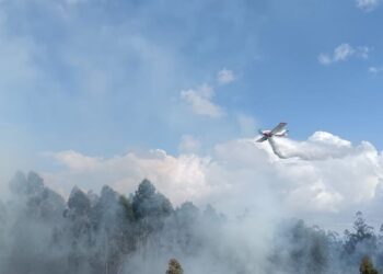 Alarma en O Porriño por un incendio forestal declarado en Pontellas