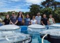 O CIM analiza se a alcalinización dos océanos é segura para a vida mariña con maior temperatura da auga
