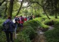 Redondela organiza este fin de semana tres rutas guiadas para descubrir su belleza e historia