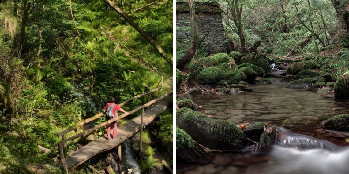 Un bosque atlántico de Galicia esconde una mágica ruta entre árboles, molinos y saltos de agua