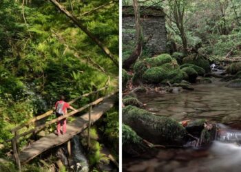 Un bosque atlántico de Galicia esconde una mágica ruta entre árboles, molinos y saltos de agua