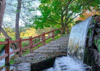 La mágica ruta en Pontevedra que esconde más de 20 molinos entre viñedos y el fluir del agua