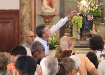 Las uvas milagrosas de O Porriño, así es el racimo de 120 euros por el que se pujó
