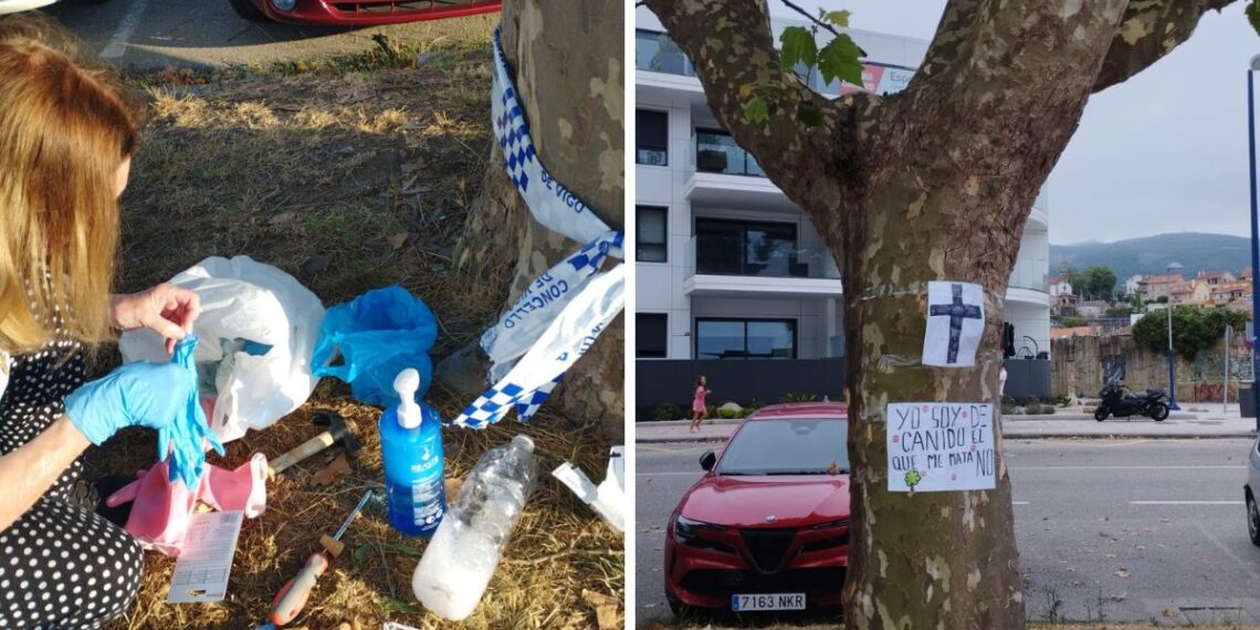 Denuncian el envenenamiento de árboles en Vigo para "despejar vistas al mar" en Canido
