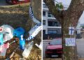 Denuncian el envenenamiento de árboles en Vigo para "despejar vistas al mar" en Canido