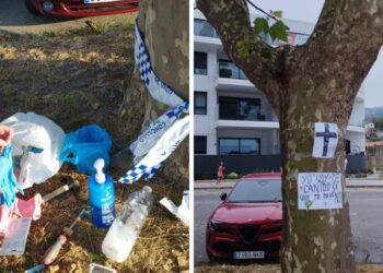 Denuncian el envenenamiento de árboles en Vigo para "despejar vistas al mar" en Canido