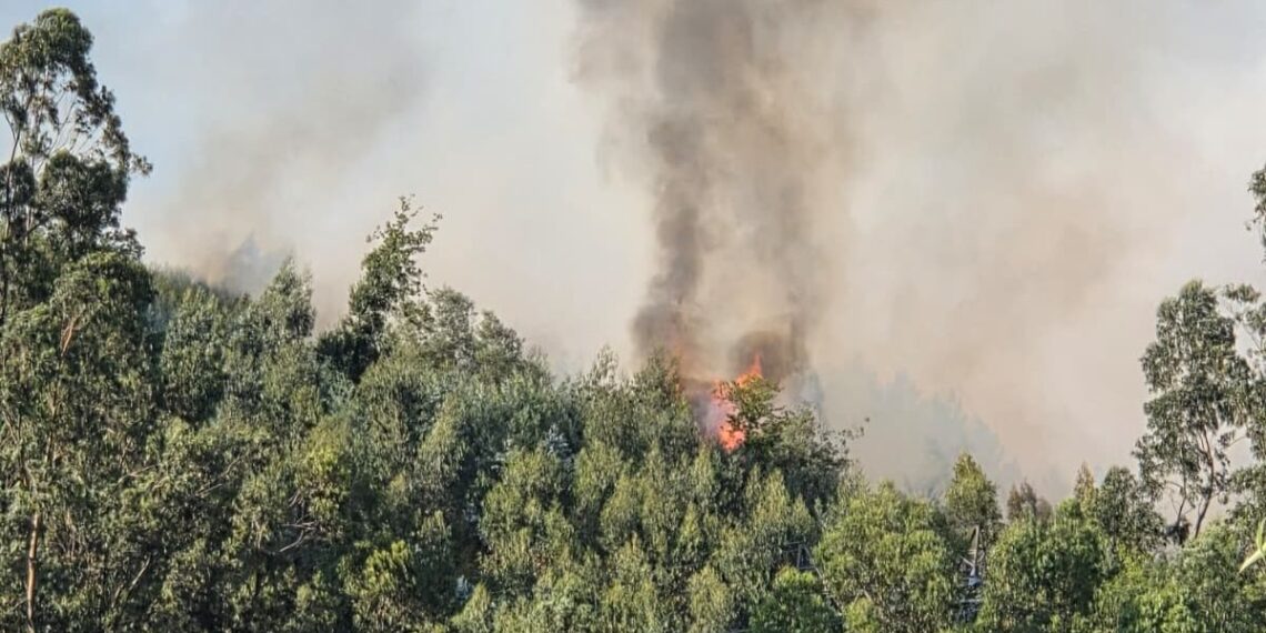 Un accidente obliga a neutralizar un nuevo tramo del Rally Rías Baixas y provoca un incendio en Salceda