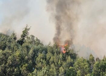 Un accidente obliga a neutralizar un nuevo tramo del Rally Rías Baixas y provoca un incendio en Salceda