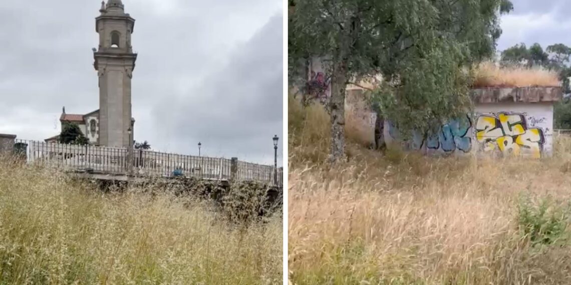 Denuncian el "abandono sistemático" de las zonas verdes de Teis: "É escandaloso"