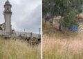 Denuncian el "abandono sistemático" de las zonas verdes de Teis: "É escandaloso"