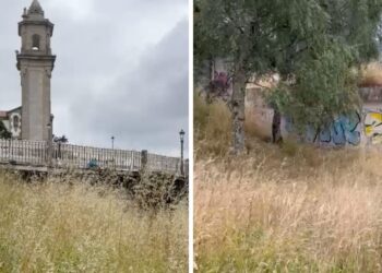 Denuncian el "abandono sistemático" de las zonas verdes de Teis: "É escandaloso"