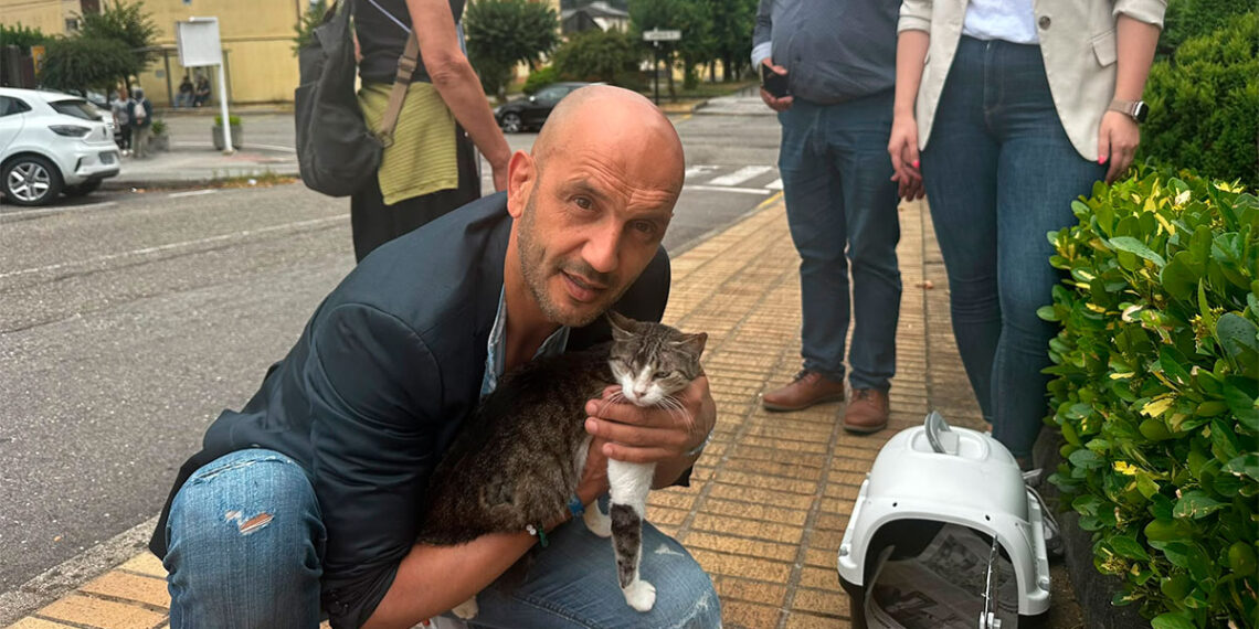 Se busca al autor de un "brutal acto de maltrato animal" en O Porriño, herida una gata con un perdigón