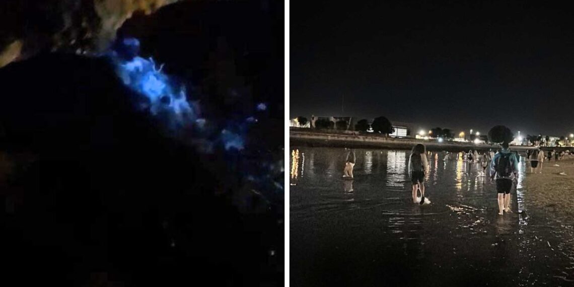Bouzas se ilumina con el increíble espectáculo del "Mar de Ardora" y atrae a decenas de personas en Vigo