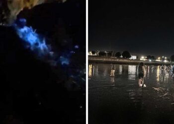 Bouzas se ilumina con el increíble espectáculo del "Mar de Ardora" y atrae a decenas de personas en Vigo