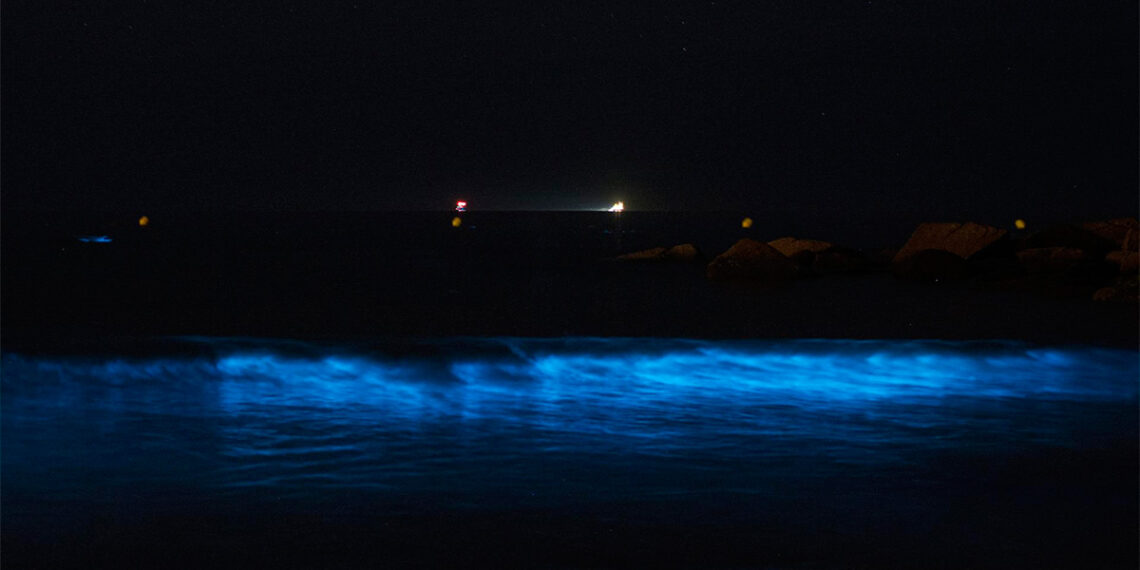 El mar de ardora que "ilumina" Vigo abre un verano de fenómenos naturales en Galicia, a la espera del eclipse