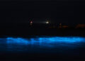 El mar de ardora que "ilumina" Vigo abre un verano de fenómenos naturales en Galicia, a la espera del eclipse