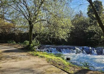 Una de las mejores sendas de Galicia está en área de Vigo y ahora se amplía
