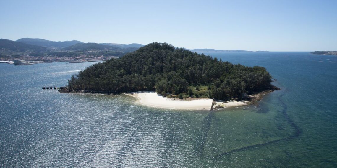 Los baños de bosque gratis en la mágica isla de Tambo y otros seis rincones abren inscripciones
