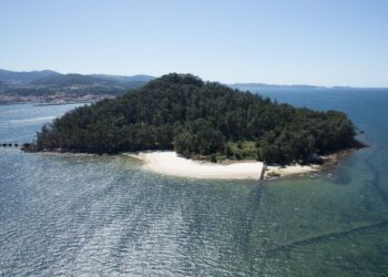 Los baños de bosque gratis en la mágica isla de Tambo y otros seis rincones abren inscripciones