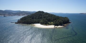 Los baños de bosque gratis en la mágica isla de Tambo y otros seis rincones abren inscripciones